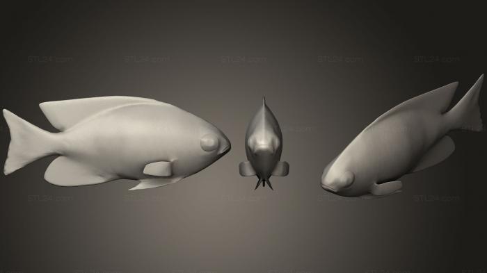 Animal figurines (Blue Damselfish, STKJ_0757) 3D models for cnc